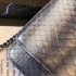 Chanel Bag 123 snake